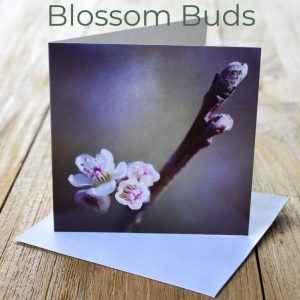 Greeting Card - Blossom Buds