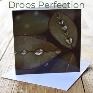 Greeting Card - Drops Perfection