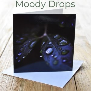 Greeting Card - Moody Drops