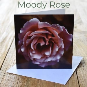 Greeting Card - Moody Rose