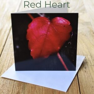 Greeting Card - Red Heart