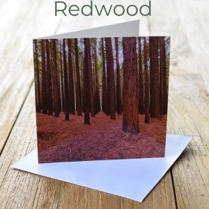 Greeting Card - Redwood