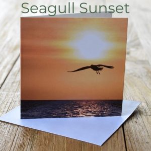 Greeting Card - Seagull Sunset