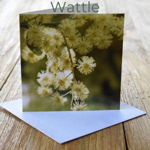 Greeting Card - Wattle